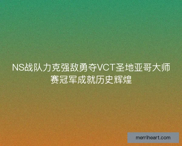 NS战队力克强敌勇夺VCT圣地亚哥大师赛冠军成就历史辉煌