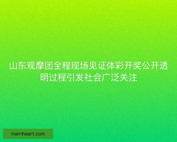 山东观摩团全程现场见证体彩开奖公开透明过程引发社会广泛关注