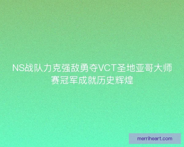 NS战队力克强敌勇夺VCT圣地亚哥大师赛冠军成就历史辉煌